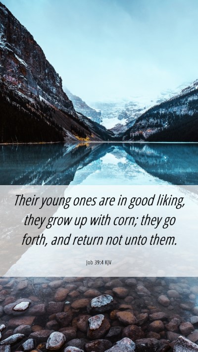 Picture 06 - Job 39:4 KJV Mobile Phone Wallpaper - Their young ones are in good liking, they grow up - Mobile Bible Verse Wallpaper