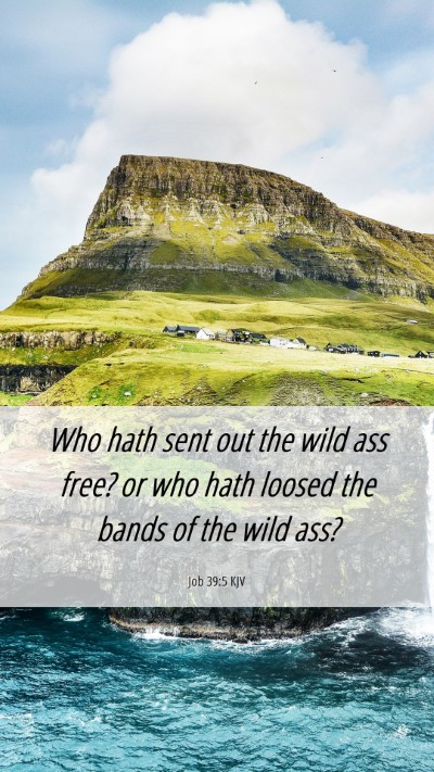 Picture 06 - Job 39:5 KJV Mobile Phone Wallpaper - Who hath sent out the wild ass free? or who hath - Mobile Bible Verse Wallpaper