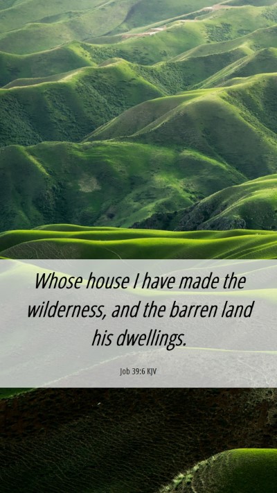 Picture 06 - Job 39:6 KJV Mobile Phone Wallpaper - Whose house I have made the wilderness, and the - Mobile Bible Verse Wallpaper