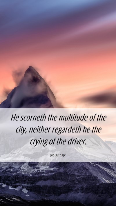 Picture 06 - Job 39:7 KJV Mobile Phone Wallpaper - He scorneth the multitude of the city, neither - Mobile Bible Verse Wallpaper