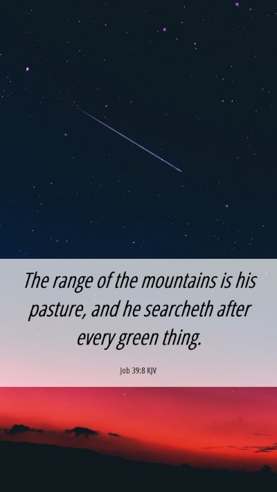 Picture 06 - Job 39:8 KJV Mobile Phone Wallpaper - The range of the mountains is his pasture, and he - Mobile Bible Verse Wallpaper
