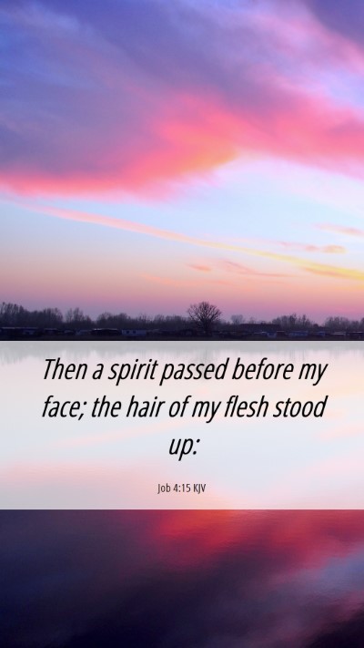 Picture 06 - Job 4:15 KJV Mobile Phone Wallpaper - Then a spirit passed before my face; the hair of - Mobile Bible Verse Wallpaper