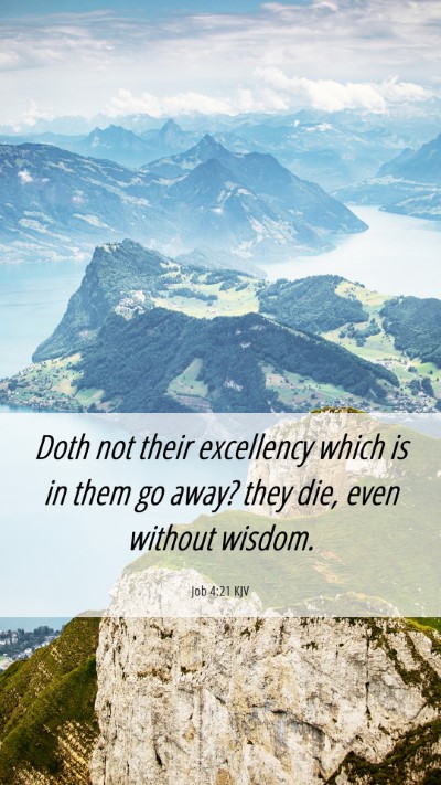 Picture 06 - Job 4:21 KJV Mobile Phone Wallpaper - Doth not their excellency which is in them go - Mobile Bible Verse Wallpaper