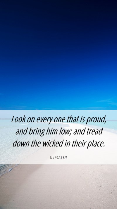 Picture 06 - Job 40:12 KJV Mobile Phone Wallpaper - Look on every one that is proud, and bring him - Mobile Bible Verse Wallpaper