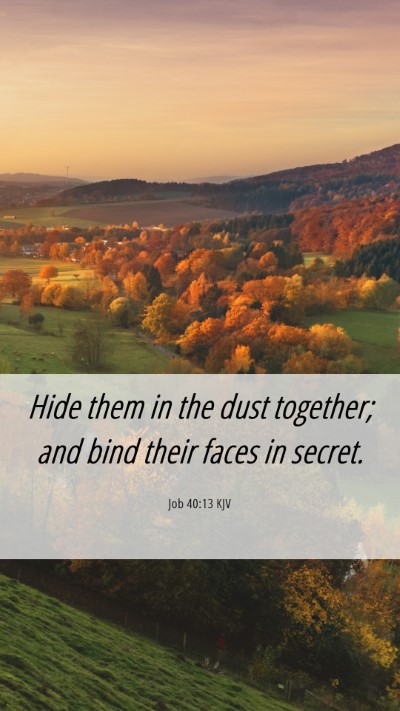 Picture 06 - Job 40:13 KJV Mobile Phone Wallpaper - Hide them in the dust together; and bind their - Mobile Bible Verse Wallpaper