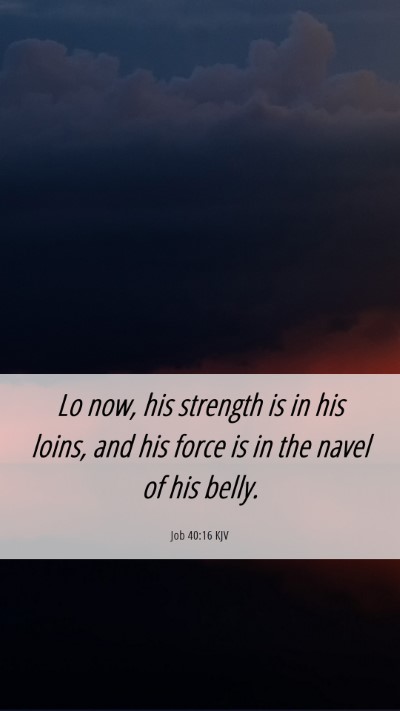 Picture 06 - Job 40:16 KJV Mobile Phone Wallpaper - Lo now, his strength is in his loins, and his - Mobile Bible Verse Wallpaper