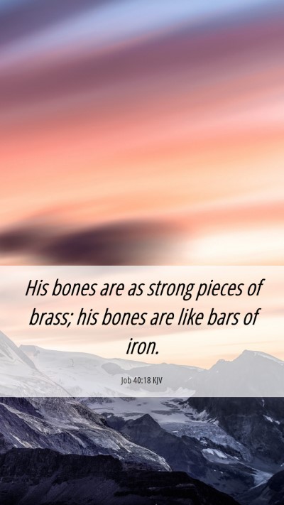 Picture 06 - Job 40:18 KJV Mobile Phone Wallpaper - His bones are as strong pieces of brass; his - Mobile Bible Verse Wallpaper