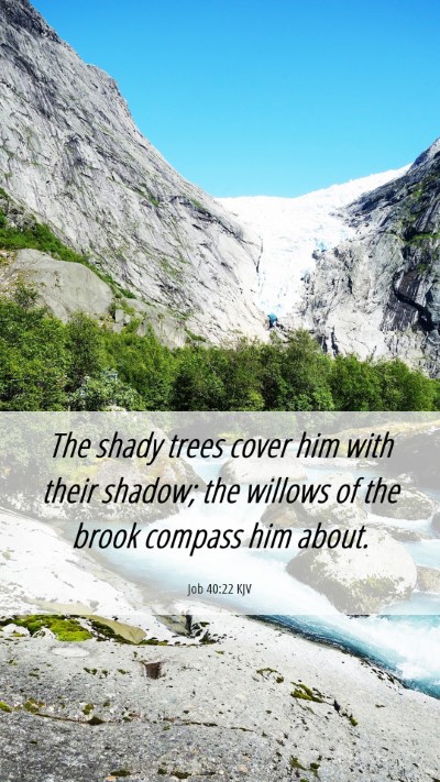 Picture 06 - Job 40:22 KJV Mobile Phone Wallpaper - The shady trees cover him with their shadow; the - Mobile Bible Verse Wallpaper