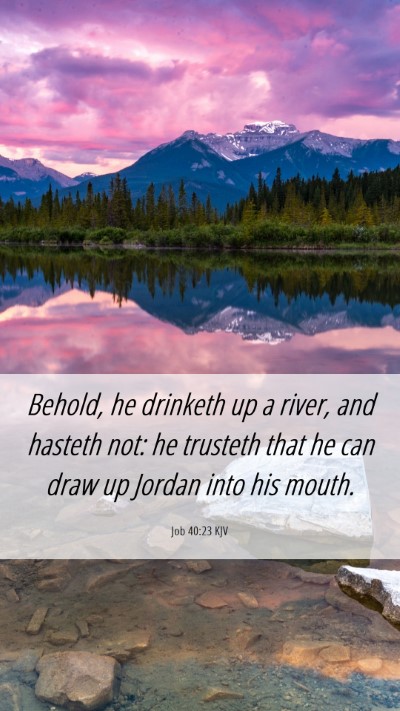 Picture 06 - Job 40:23 KJV Mobile Phone Wallpaper - Behold, he drinketh up a river, and hasteth not: - Mobile Bible Verse Wallpaper