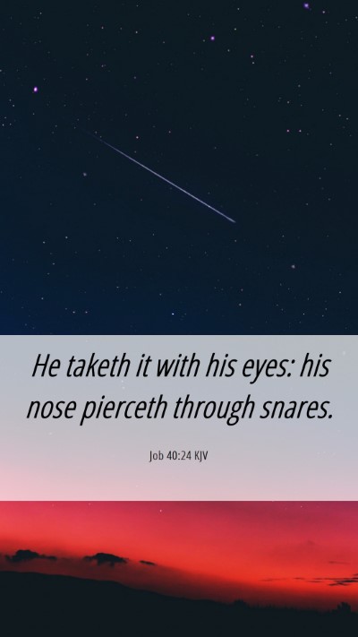 Picture 06 - Job 40:24 KJV Mobile Phone Wallpaper - He taketh it with his eyes: his nose pierceth - Mobile Bible Verse Wallpaper