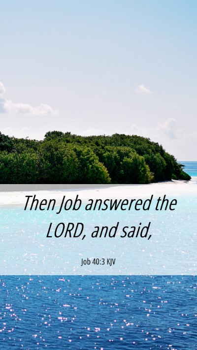 Picture 06 - Job 40:3 KJV Mobile Phone Wallpaper - Then Job answered the LORD, and - Mobile Bible Verse Wallpaper
