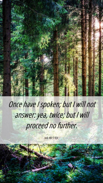 Picture 06 - Job 40:5 KJV Mobile Phone Wallpaper - Once have I spoken; but I will not answer: yea, - Mobile Bible Verse Wallpaper