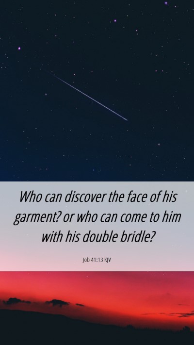 Picture 06 - Job 41:13 KJV Mobile Phone Wallpaper - Who can discover the face of his garment? or who - Mobile Bible Verse Wallpaper