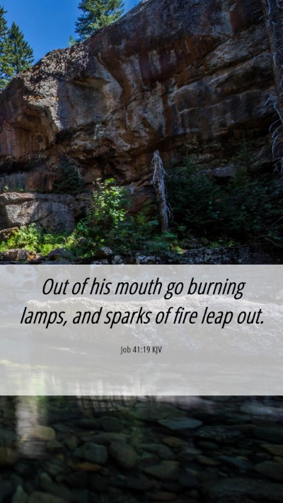 Picture 06 - Job 41:19 KJV Mobile Phone Wallpaper - Out of his mouth go burning lamps, and sparks of - Mobile Bible Verse Wallpaper