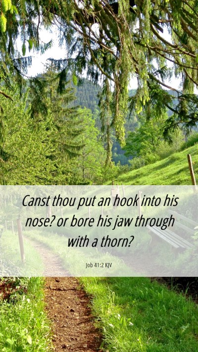 Picture 06 - Job 41:2 KJV Mobile Phone Wallpaper - Canst thou put an hook into his nose? or bore his - Mobile Bible Verse Wallpaper