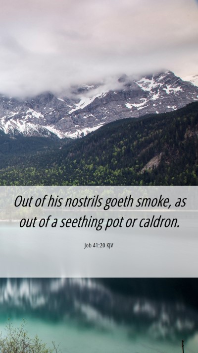 Picture 06 - Job 41:20 KJV Mobile Phone Wallpaper - Out of his nostrils goeth smoke, as out of a - Mobile Bible Verse Wallpaper
