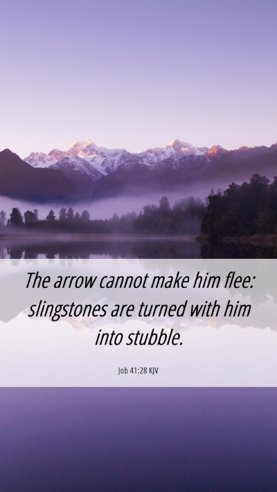 Picture 06 - Job 41:28 KJV Mobile Phone Wallpaper - The arrow cannot make him flee: slingstones are - Mobile Bible Verse Wallpaper