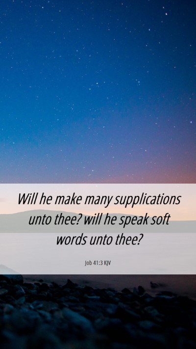 Picture 06 - Job 41:3 KJV Mobile Phone Wallpaper - Will he make many supplications unto thee? will - Mobile Bible Verse Wallpaper