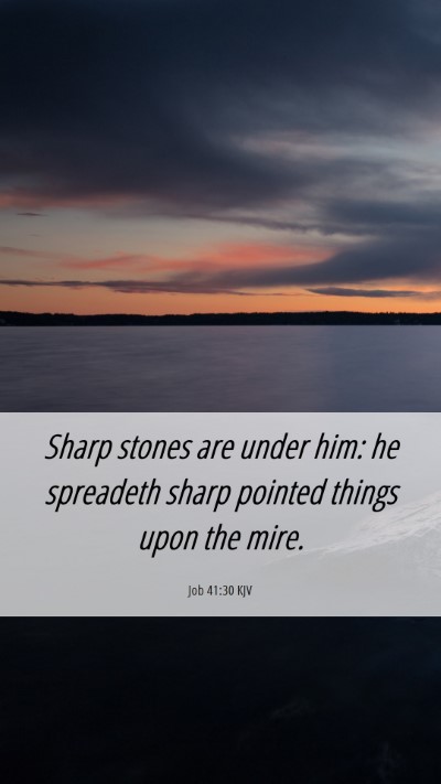 Picture 06 - Job 41:30 KJV Mobile Phone Wallpaper - Sharp stones are under him: he spreadeth sharp - Mobile Bible Verse Wallpaper