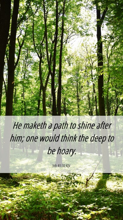 Picture 06 - Job 41:32 KJV Mobile Phone Wallpaper - He maketh a path to shine after him; one would - Mobile Bible Verse Wallpaper