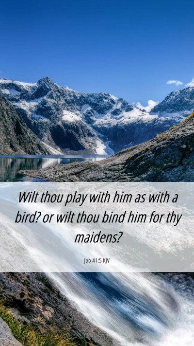 Picture 06 - Job 41:5 KJV Mobile Phone Wallpaper - Wilt thou play with him as with a bird? or wilt - Mobile Bible Verse Wallpaper