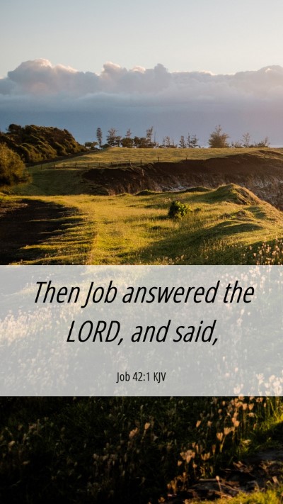 Picture 06 - Job 42:1 KJV Mobile Phone Wallpaper - Then Job answered the LORD, and - Mobile Bible Verse Wallpaper