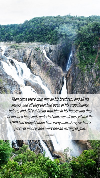 Picture 06 - Job 42:11 KJV Mobile Phone Wallpaper - Then came there unto him all his brethren, and - Mobile Bible Verse Wallpaper