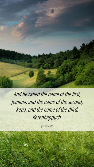 Picture 06 - Job 42:14 KJV Mobile Phone Wallpaper - And he called the name of the first, Jemima; and - Mobile Bible Verse Wallpaper