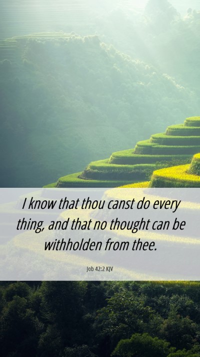 Picture 06 - Job 42:2 KJV Mobile Phone Wallpaper - I know that thou canst do every thing, and that - Mobile Bible Verse Wallpaper