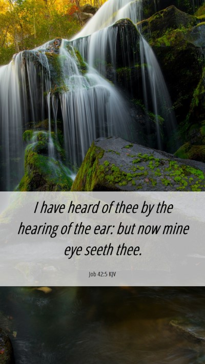 Picture 06 - Job 42:5 KJV Mobile Phone Wallpaper - I have heard of thee by the hearing of the ear: - Mobile Bible Verse Wallpaper