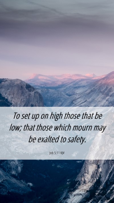 Picture 06 - Job 5:11 KJV Mobile Phone Wallpaper - To set up on high those that be low; that those - Mobile Bible Verse Wallpaper