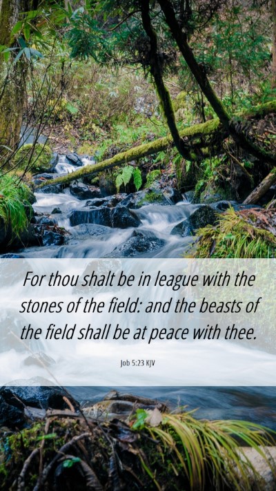 Picture 06 - Job 5:23 KJV Mobile Phone Wallpaper - For thou shalt be in league with the stones of - Mobile Bible Verse Wallpaper