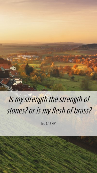 Picture 06 - Job 6:12 KJV Mobile Phone Wallpaper - Is my strength the strength of stones? or is my - Mobile Bible Verse Wallpaper