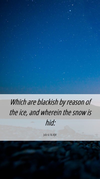 Picture 06 - Job 6:16 KJV Mobile Phone Wallpaper - Which are blackish by reason of the ice, and - Mobile Bible Verse Wallpaper