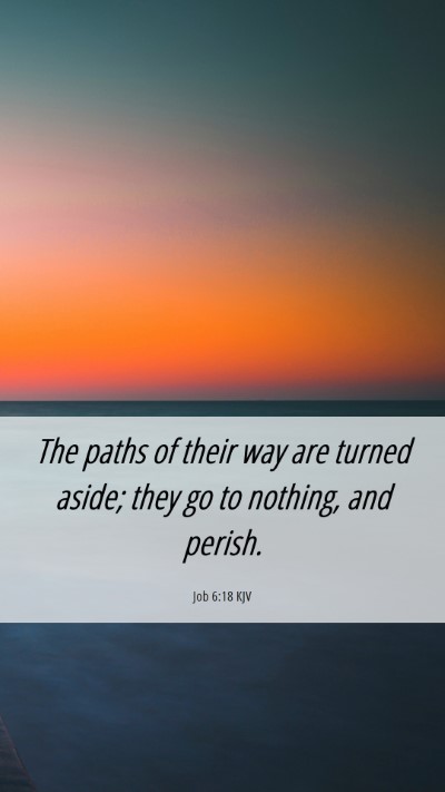 Picture 06 - Job 6:18 KJV Mobile Phone Wallpaper - The paths of their way are turned aside; they go - Mobile Bible Verse Wallpaper