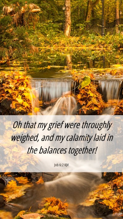 Picture 06 - Job 6:2 KJV Mobile Phone Wallpaper - Oh that my grief were throughly weighed, and my - Mobile Bible Verse Wallpaper