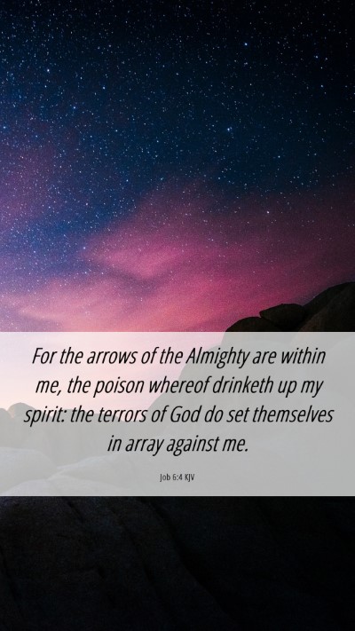 Picture 06 - Job 6:4 KJV Mobile Phone Wallpaper - For the arrows of the Almighty are within me, the - Mobile Bible Verse Wallpaper