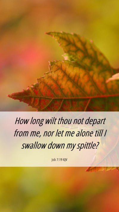 Picture 06 - Job 7:19 KJV Mobile Phone Wallpaper - How long wilt thou not depart from me, nor let me - Mobile Bible Verse Wallpaper