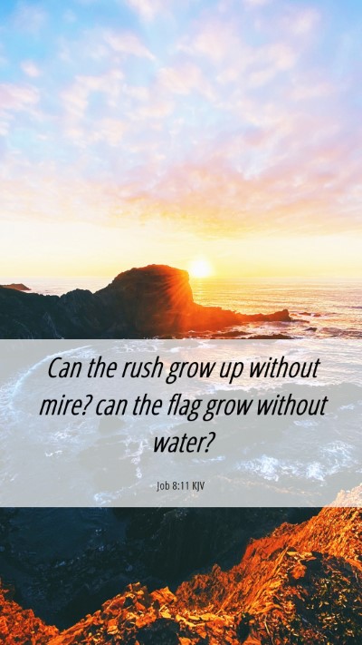 Picture 06 - Job 8:11 KJV Mobile Phone Wallpaper - Can the rush grow up without mire? can the flag - Mobile Bible Verse Wallpaper