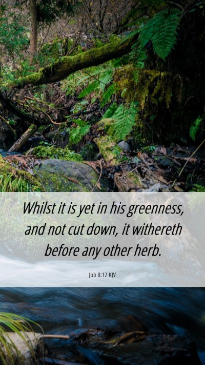 Picture 06 - Job 8:12 KJV Mobile Phone Wallpaper - Whilst it is yet in his greenness, and not cut - Mobile Bible Verse Wallpaper