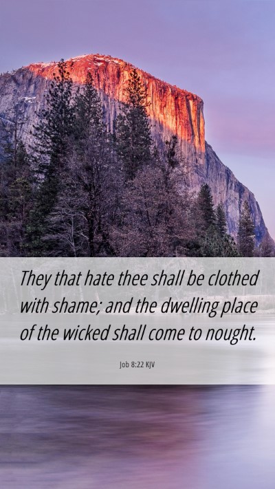 Picture 06 - Job 8:22 KJV Mobile Phone Wallpaper - They that hate thee shall be clothed with shame; - Mobile Bible Verse Wallpaper