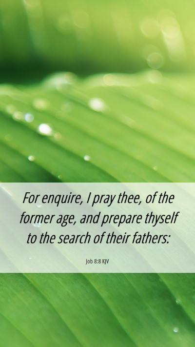 Picture 06 - Job 8:8 KJV Mobile Phone Wallpaper - For enquire, I pray thee, of the former age, and - Mobile Bible Verse Wallpaper