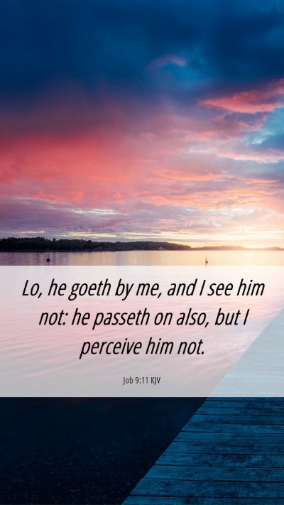 Picture 06 - Job 9:11 KJV Mobile Phone Wallpaper - Lo, he goeth by me, and I see him not: he passeth - Mobile Bible Verse Wallpaper