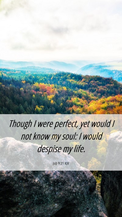 Picture 06 - Job 9:21 KJV Mobile Phone Wallpaper - Though I were perfect, yet would I not know my - Mobile Bible Verse Wallpaper