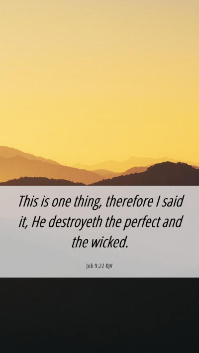 Picture 06 - Job 9:22 KJV Mobile Phone Wallpaper - This is one thing, therefore I said it, He - Mobile Bible Verse Wallpaper