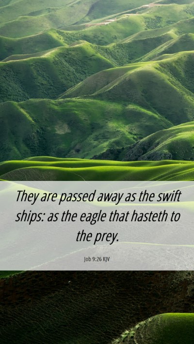 Picture 06 - Job 9:26 KJV Mobile Phone Wallpaper - They are passed away as the swift ships: as the - Mobile Bible Verse Wallpaper