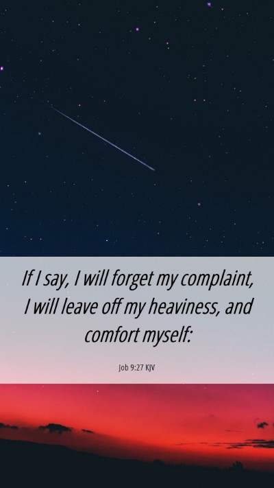 Picture 06 - Job 9:27 KJV Mobile Phone Wallpaper - If I say, I will forget my complaint, I will - Mobile Bible Verse Wallpaper