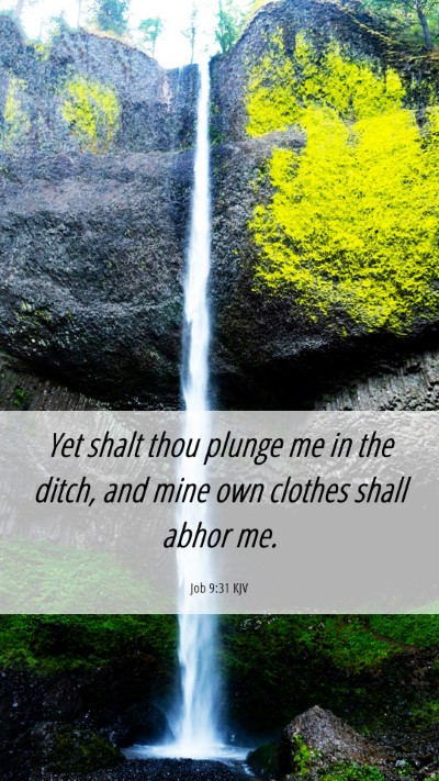 Picture 06 - Job 9:31 KJV Mobile Phone Wallpaper - Yet shalt thou plunge me in the ditch, and mine - Mobile Bible Verse Wallpaper