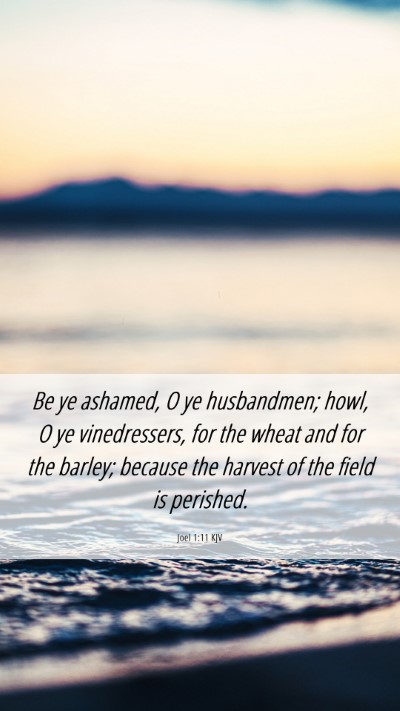 Picture 06 - Joel 1:11 KJV Mobile Phone Wallpaper - Be ye ashamed, O ye husbandmen; howl, O ye - Mobile Bible Verse Wallpaper