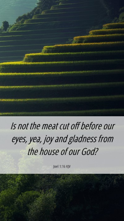 Picture 06 - Joel 1:16 KJV Mobile Phone Wallpaper - Is not the meat cut off before our eyes, yea, joy - Mobile Bible Verse Wallpaper